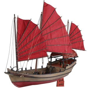 Junco Chino 1:50 - Disarmodel