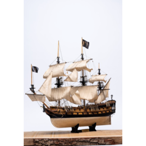Barco Royal Fortune - Occre